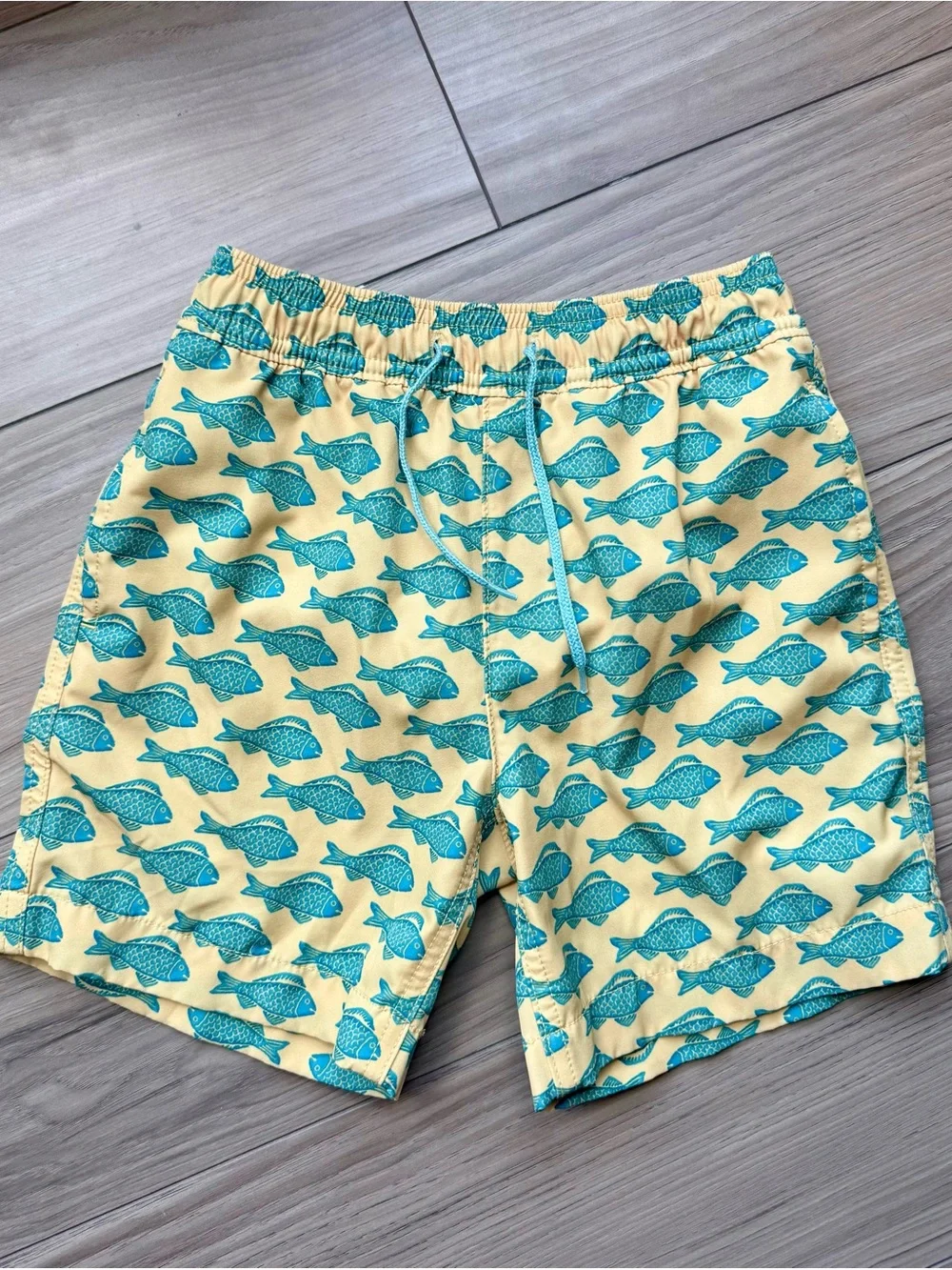 Crewcuts Boys Swim Trunks